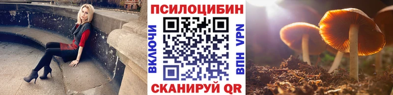 Галлюциногенные грибы Cubensis  гидра ONION  Нижний Новгород 